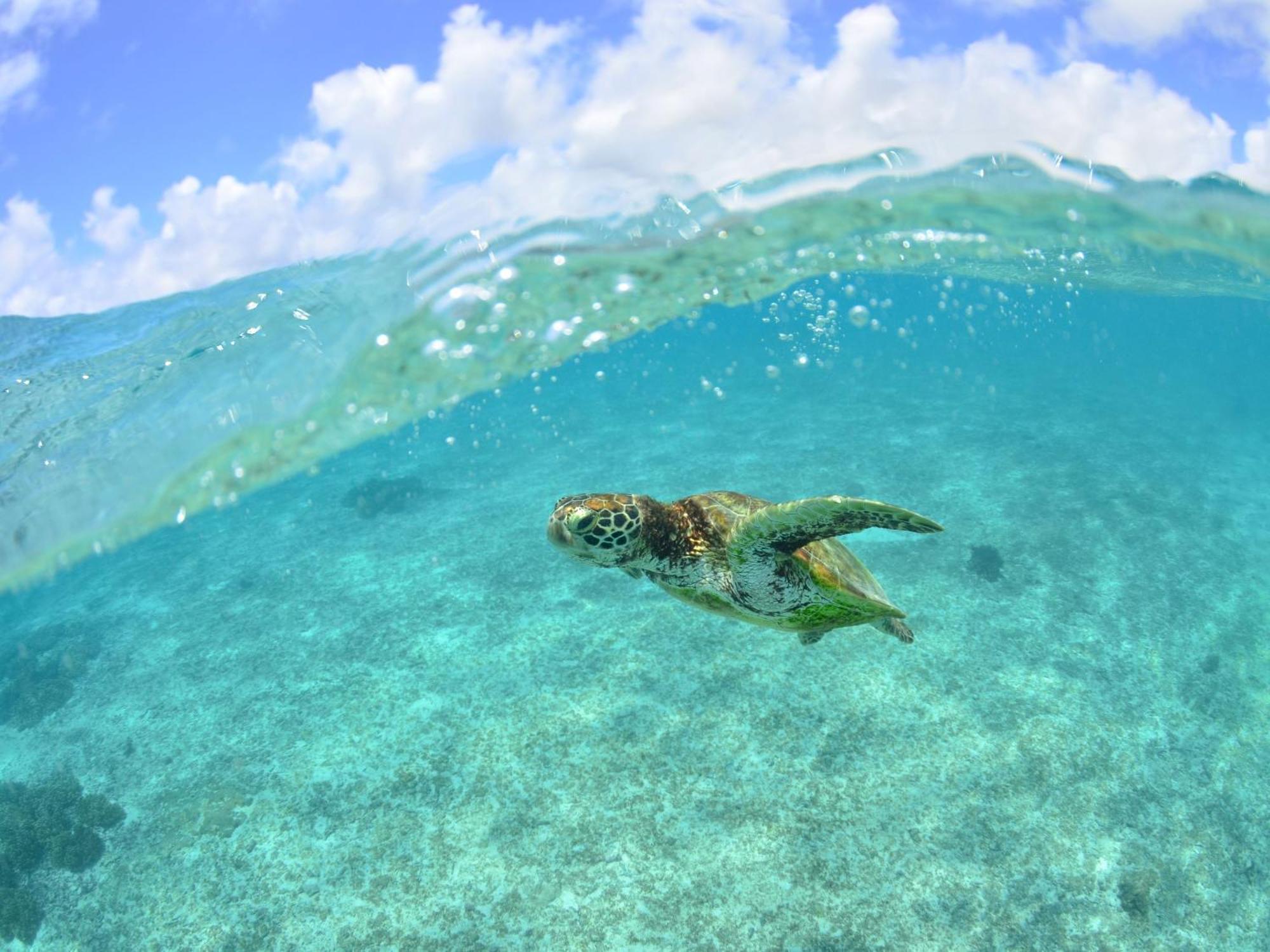 Отель Hot Cross Point Santa Monica Miyakojima  Экстерьер фото