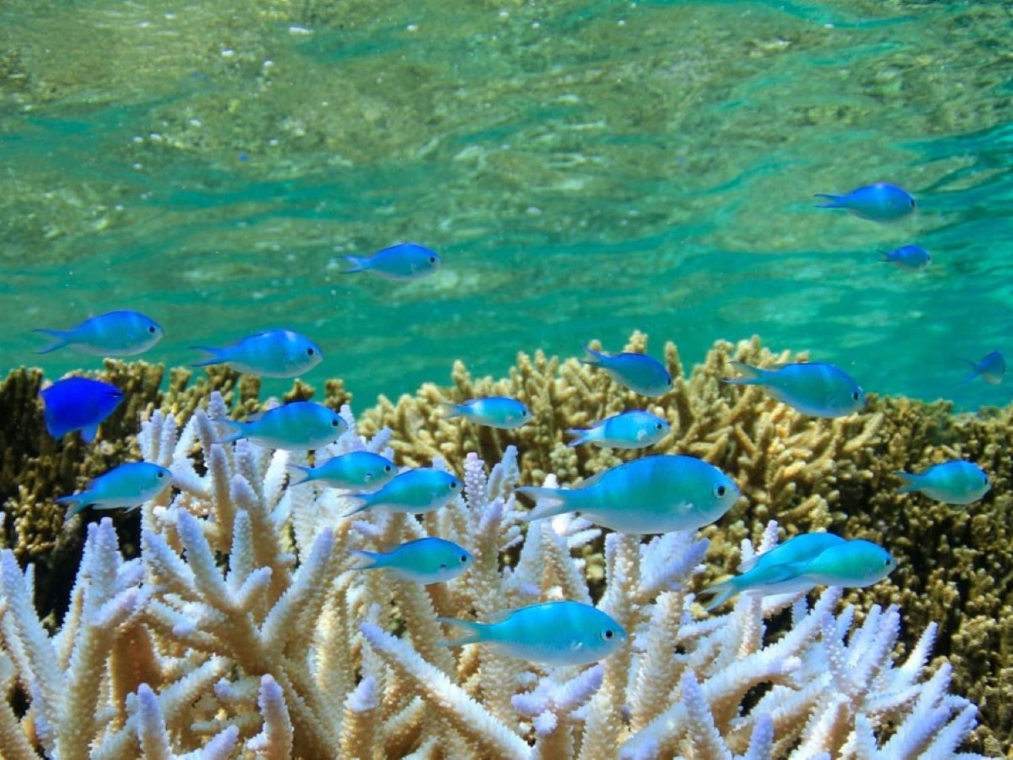 Отель Hot Cross Point Santa Monica Miyakojima  Экстерьер фото