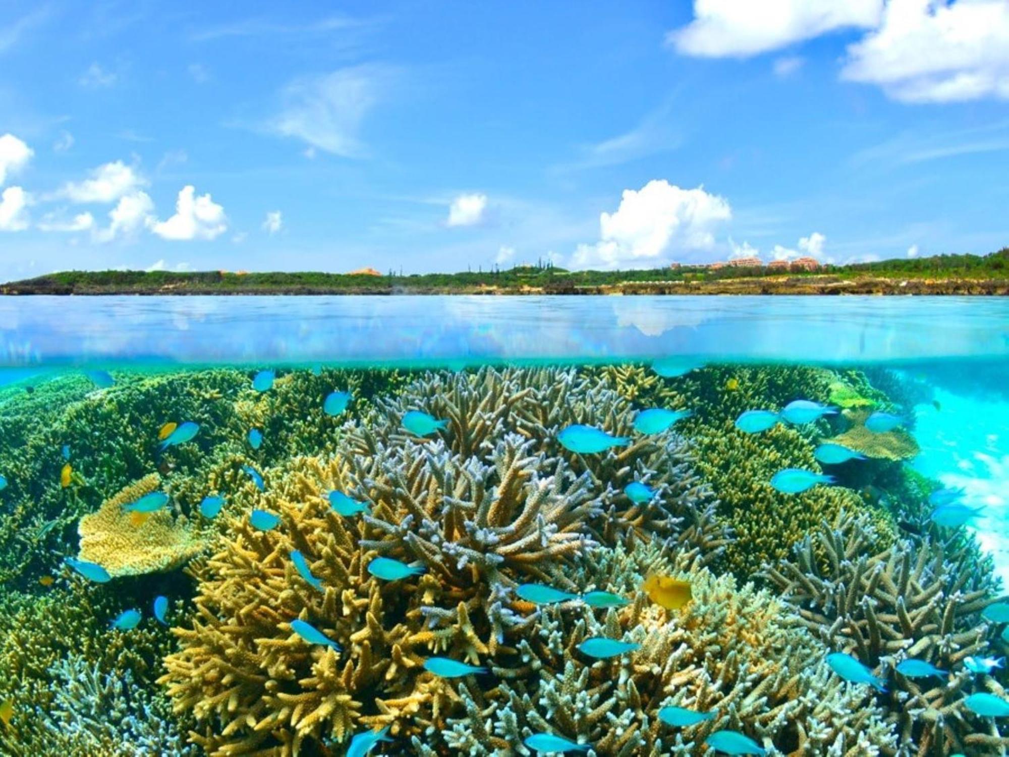 Отель Hot Cross Point Santa Monica Miyakojima  Экстерьер фото